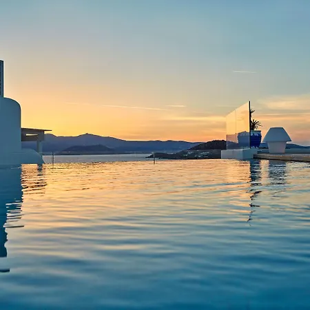 18 Grapes איוס פרוקופיוס