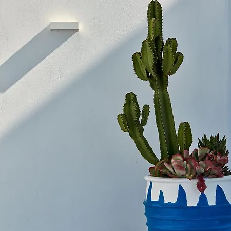 18 Grapes מלון 5*